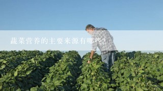 蔬菜营养的主要来源有哪些？