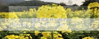 垫江最大的蔬菜批发市场