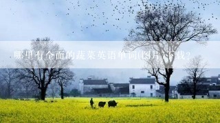 哪里有全面的蔬菜英语单词(图片)下载?