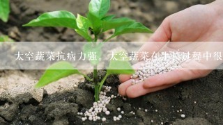 太空蔬菜抗病力强。太空蔬菜在生长过程中很少使用农药。怎么用关联词语合并句子