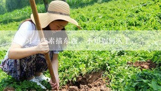 想学习一些素描东西，不知如何入手，，，，最终就是想画一些卡通图片的素描图，银魂，龙智