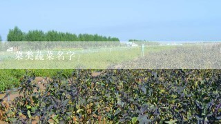 菜类蔬菜名字