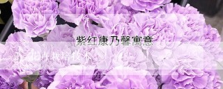 花卉栽培技术