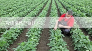 冷棚樱桃种植技术？