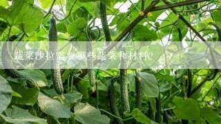 蔬菜沙拉需要哪些蔬菜和材料？