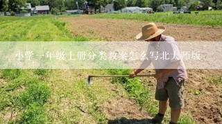 小学一年级上册分类教案怎么写北大师版