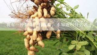 我有一种野菜，有图片。不知道叫什么名子，知道的大哥大姐们帮我一下，告诉我叫什么名字。