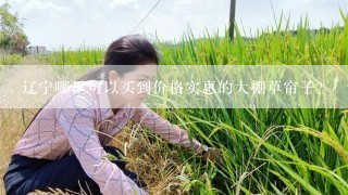 辽宁哪里可以买到价格实惠的大棚草帘子？