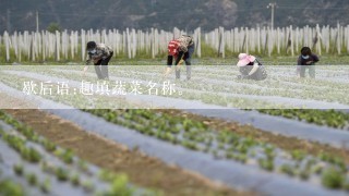 歇后语:趣填蔬菜名称。