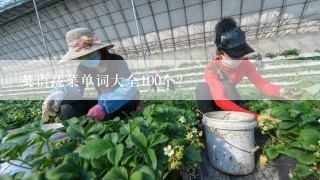 英语蔬菜单词大全100个？