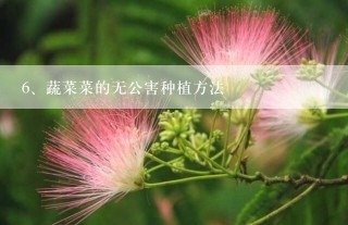 蔬菜菜的无公害种植方法