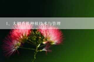 大棚香椿种植技术与管理