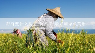 都有些什么蔬菜 要名字 最好翻译成英语