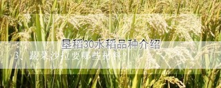 蔬菜沙拉要哪些材料？