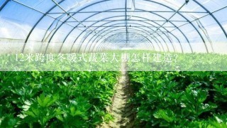 12米跨度冬暖式蔬菜大棚怎样建造？