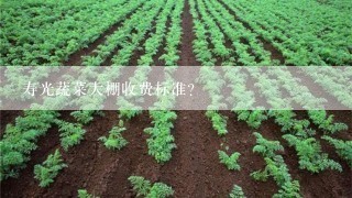 寿光蔬菜大棚收费标准？