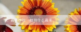 蔬菜沙拉一般用什么蔬菜