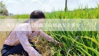 现在四川广元的蔬菜价格批发是多少？