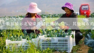 数据显示北京菜价同比涨5<br/>6、32%，其他城市的蔬菜价格