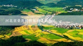 河北省桑黄种植基地详细地址