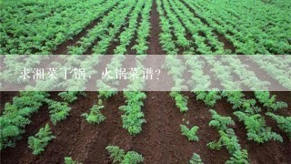 求湘菜干锅，火锅菜谱？