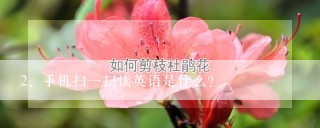 手机扫一扫读英语是什么?