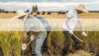 浅谈温室大棚冬季做好保温的几点技巧