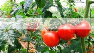 5月份时令蔬菜有哪些