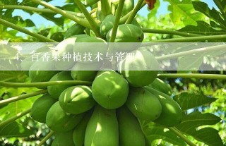 百香果种植技术与管理