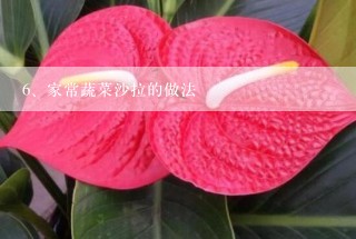 家常蔬菜沙拉的做法