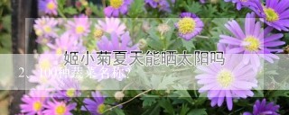 100种蔬菜名称？