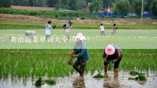 英语蔬菜单词大全100个？