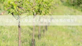 北京几个大型蔬菜水果批发市场都在哪里？