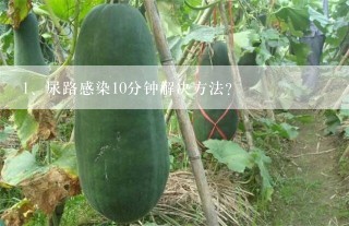 尿路感染10分钟解决方法？