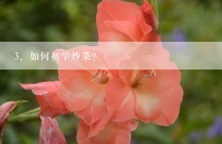 如何初学炒菜？