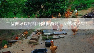 二型糖尿病吃哪种降糖药好，又不伤肠胃？