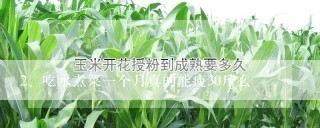 吃水煮菜一个月真的能瘦30斤么