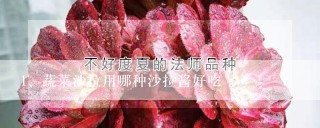 蔬菜沙拉用哪种沙拉酱好吃