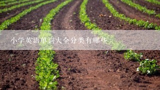 小学英语单词大全分类有哪些