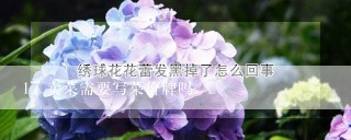 卖菜需要写菜价牌吗