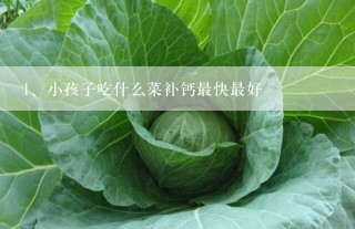 小孩子吃什么菜补钙最快最好