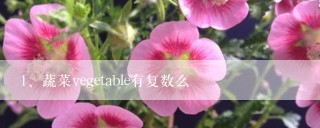 蔬菜vegetable有复数么