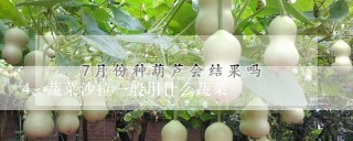 蔬菜沙拉一般用什么蔬菜