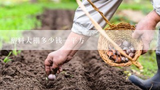 塑料大棚多少钱一平方