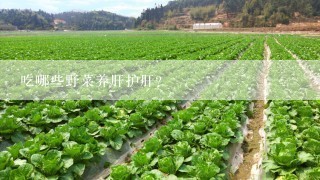 吃哪些野菜养肝护肝?