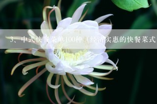 中式快餐菜单100种（经济实惠的快餐菜式）