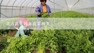 北方露天越冬蔬菜种类