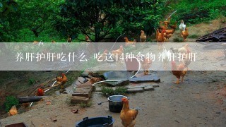 养肝护肝吃什么 吃这14种食物养肝护肝