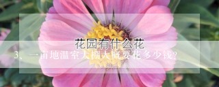 一亩地温室大棚大概要花多少钱？