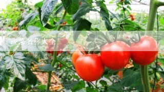 蔬菜名称大全